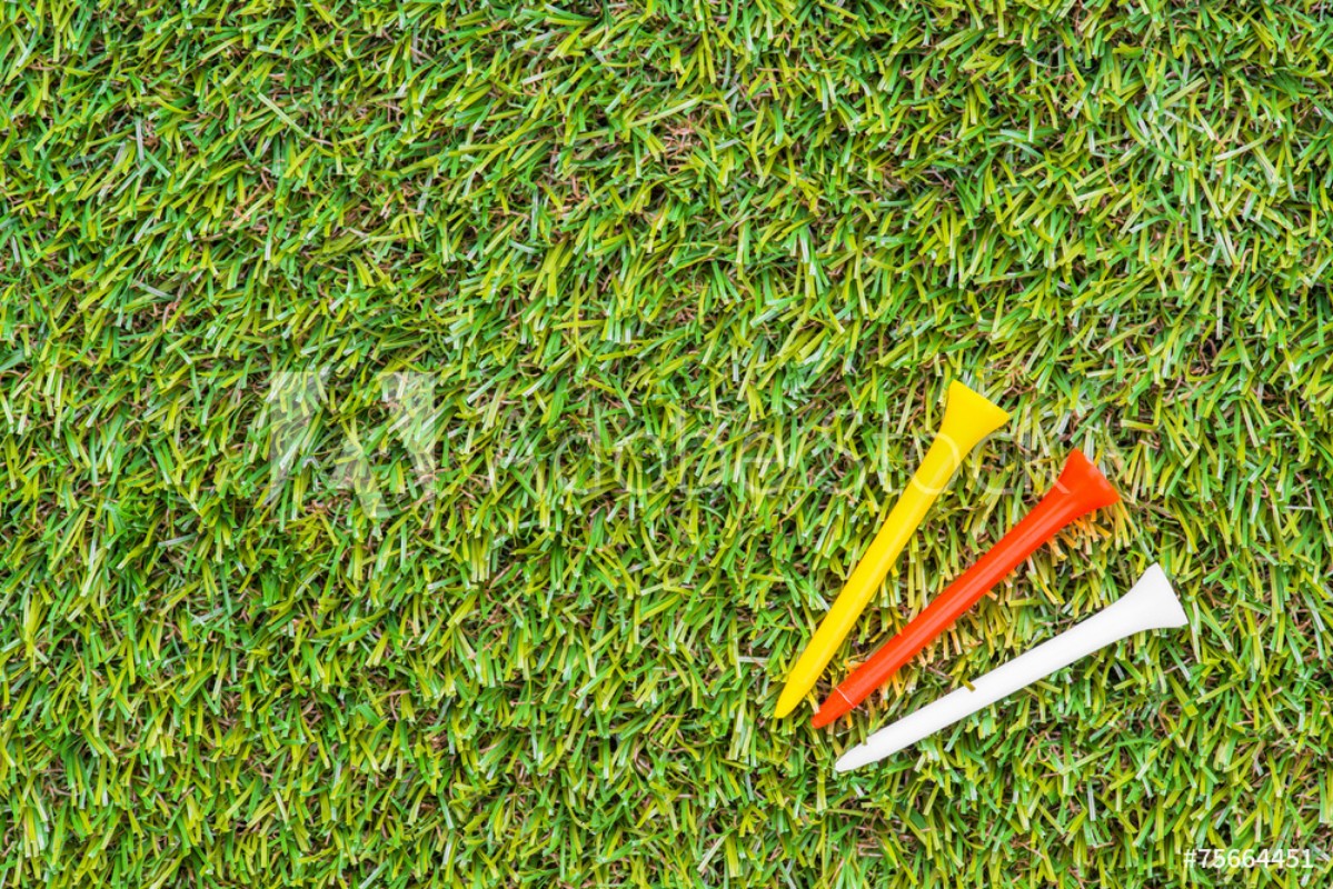 Afbeeldingen van Golf club and teel in grass